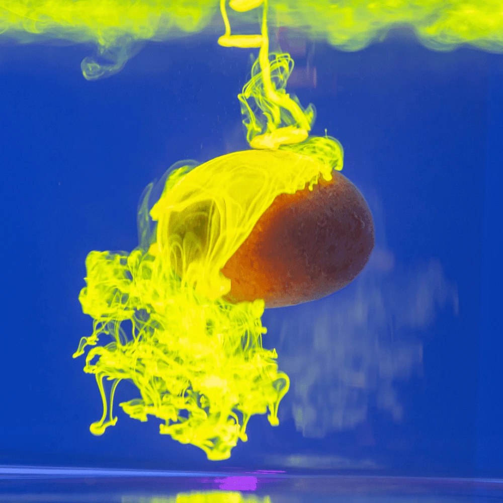 Anaconda 4K Cloud Booster Dip Amarena Cherry 70ml 2 Anaconda 4K Cloud Booster Dip Amarena Cherry 70ml – Bild 2