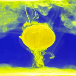 Anaconda 4K Cloud Booster Dip Amarena Cherry 70ml 5 Anaconda 4K Cloud Booster Dip Amarena Cherry 70ml -Professionelles Angelausrüstungsgeschäft Anaconda204K20Cloud20Booster20Dip2028229 3