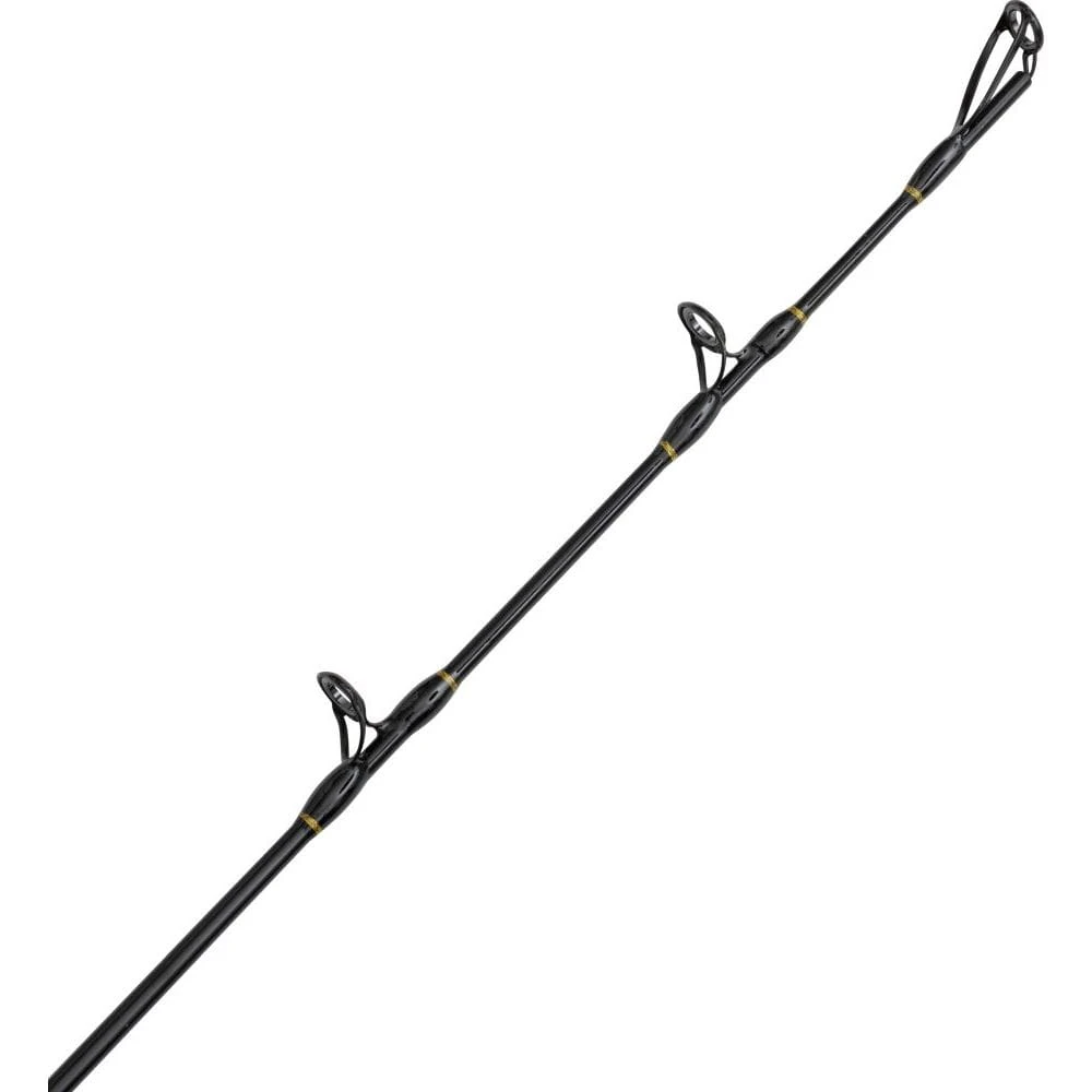 Black Cat Perfect Passion Allstar 220 Cm 30-130g 7 Black Cat Perfect Passion Allstar 220 Cm 30-130g – Bild 7