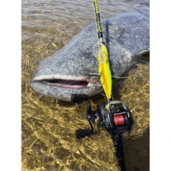 Black Cat Perfect Passion Allstar 220 Cm 30-130g 18 Black Cat Perfect Passion Allstar 220 Cm 30-130g -Professionelles Angelausrüstungsgeschäft Black20Cat20Perfect20Passion20Allstar2021020cm2030 130g20163702202028929