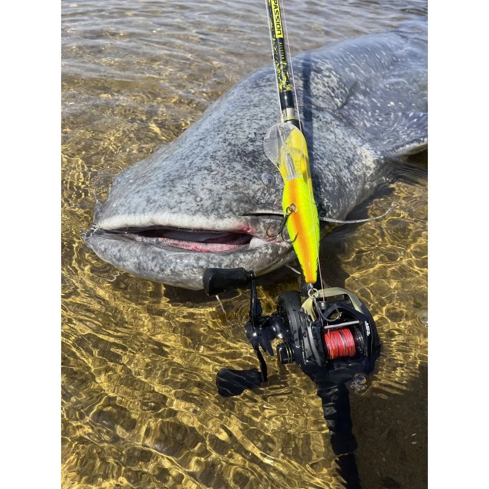 Black Cat Perfect Passion Allstar 220 Cm 30-130g 9 Black Cat Perfect Passion Allstar 220 Cm 30-130g – Bild 9