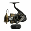 Daiwa BG 3500 Salt Water