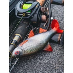 Fox Rage Ultra-Realistic Roach Replicant 10 Cm 18g 08 -Professionelles Angelausrüstungsgeschäft Fox Rage Ultra Realistic Perch Replicant NRE501 NRE502 NRE50320281029