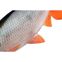 Fox Rage Ultra-Realistic Roach Replicant 10 Cm 18g 08 -Professionelles Angelausrüstungsgeschäft Fox Rage Ultra Realistic Perch Replicant NRE501 NRE502 NRE5032028329