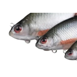 Fox Rage Ultra-Realistic Roach Replicant 10 Cm 18g 08 -Professionelles Angelausrüstungsgeschäft Fox Rage Ultra Realistic Perch Replicant NRE501 NRE502 NRE5032028529