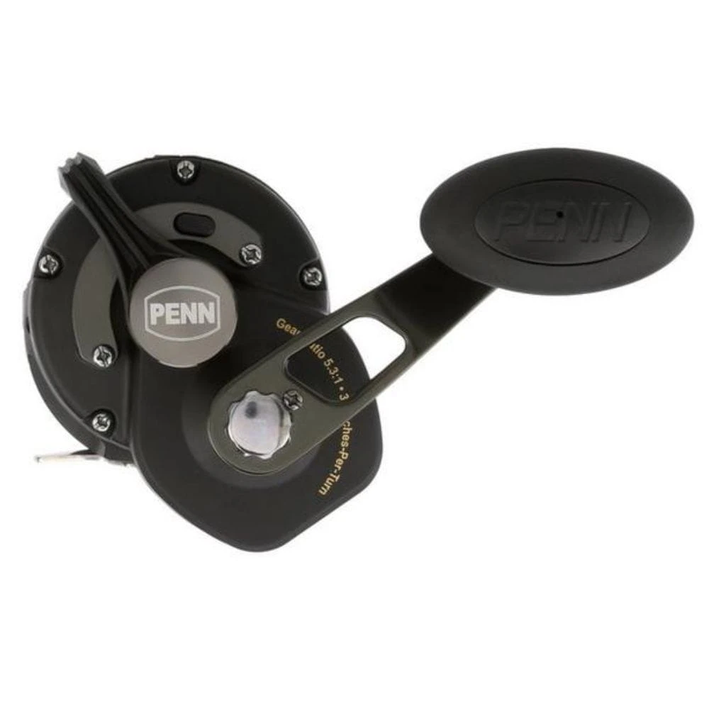 Penn Squall II SQLII40NLDHS 3 Penn Squall II SQLII40NLDHS – Bild 3