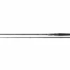 Daiwa Pro Staff Zander BC 2,40 Meter 14-56 G