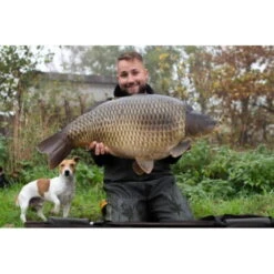 Zadravec Baits Unique Boilies Mango Banana Ananas 16 Mm 2 Kg -Professionelles Angelausrüstungsgeschäft Zadravec20Baits20Unique20Bolies20Mango20Banana20Ananas2028229