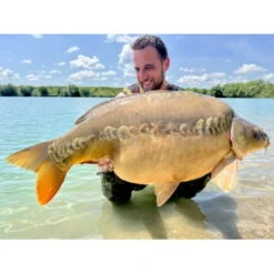 Zadravec Baits Unique Boilies Sweet Strawberry Cream 16 Mm 2 Kg 7 Zadravec Baits Unique Boilies Sweet Strawberry Cream 16 Mm 2 Kg -Professionelles Angelausrüstungsgeschäft Zadravec20Baits20Unique20Bolies20Sweet20Strawberrya20Cream2028329