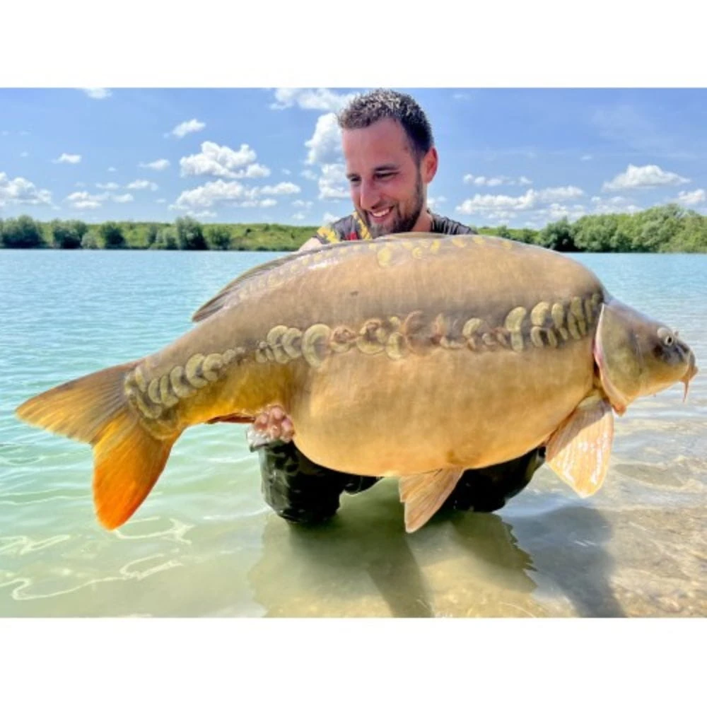 Zadravec Baits Unique Boilies Sweet Strawberry Cream 16 Mm 2 Kg 4 Zadravec Baits Unique Boilies Sweet Strawberry Cream 16 Mm 2 Kg – Bild 4