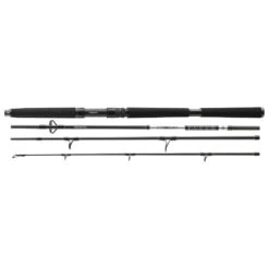 Daiwa BG Travel Boat 225 Cm 150-500g 4-teilig