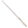 Daiwa Sweepfire Spin 300 Cm 40-100 G