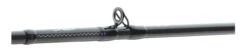 Daiwa Prorex AGS Baitcast 230cm 40-80g -Professionelles Angelausrüstungsgeschäft daiwaagsbc4