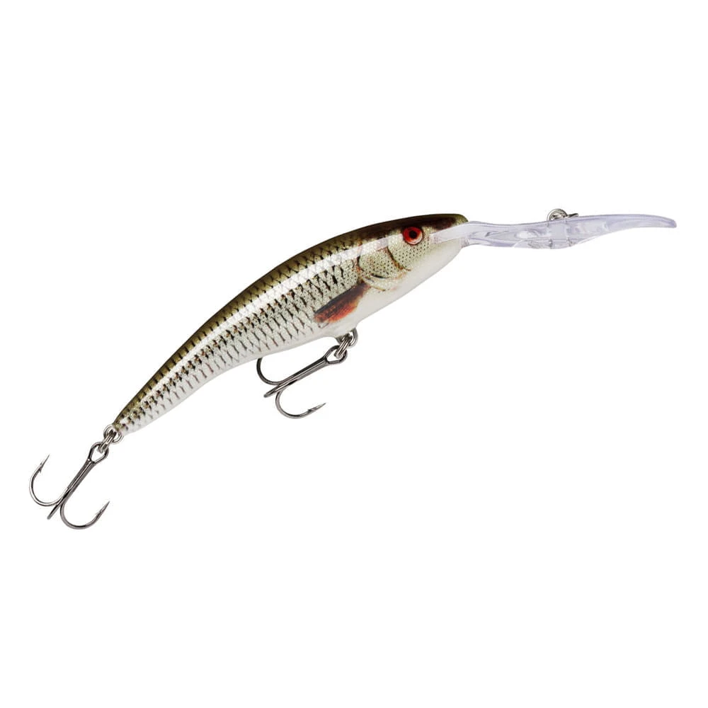 Rapala Deep Tail Dancer 11 Cm (4,3") 22 G Live Roach 1 Rapala Deep Tail Dancer 11 Cm (4,3") 22 G Live Roach