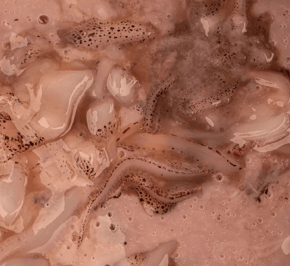 Nash Salted Squid 500 Ml 2 Nash Salted Squid 500 Ml – Bild 2