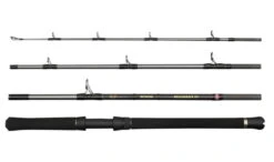 Penn Regiment IV Boat Travel Rod 228cm 20-30lbs 4-teilig