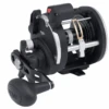 Penn Rival Level Wind 30 LW LC Reel RH