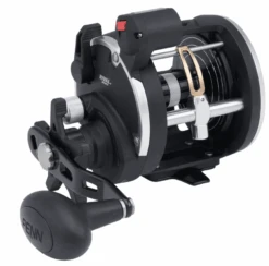 Penn Rival Level Wind 30 LW LC Reel RH
