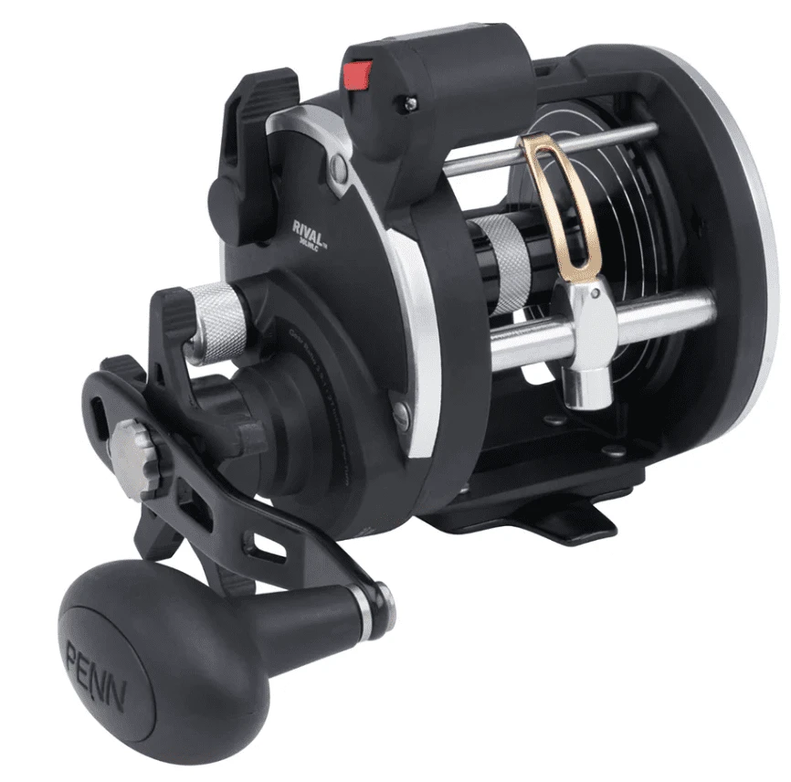 Penn Rival Level Wind 30 LW LC Reel RH 1 Penn Rival Level Wind 30 LW LC Reel RH