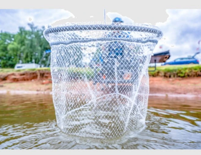 Preston Carbon Euro Match Landing Net 18" 45 Cm 2 Preston Carbon Euro Match Landing Net 18" 45 Cm – Bild 2