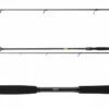 Daiwa Prorex X Spinnrute 270 Cm 30-70 G