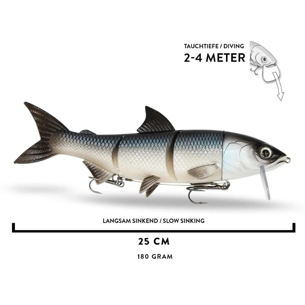 RenkyOne 25cm (10") 180 G Slow Sinking White Fish 1 Stück 4 RenkyOne 25cm (10") 180 G Slow Sinking White Fish 1 Stück – Bild 4