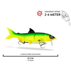 RenkyOne 18 Cm (7") 145 G Slow Sinking Green Inferno 1 Stück 8 RenkyOne 18 Cm (7") 145 G Slow Sinking Green Inferno 1 Stück -Professionelles Angelausrüstungsgeschäft renkyone hybrid fishing lure 7 ca 18 cm green inferno 4