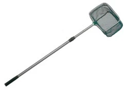 Sänger Teichkescher