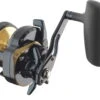 Daiwa 24 Saltiga 15L Multirolle