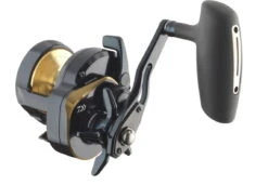 Daiwa 24 Saltiga 15L Multirolle