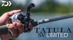 Daiwa Tatula SV 103HL Limited Edition -Professionelles Angelausrüstungsgeschäft tatulalimited5