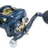 WFT Magneto GBC Baitcastrolle LH