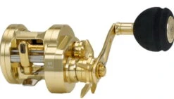 WFT Sen BC 4 LW LH Multirolle