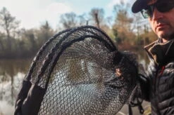 Zebco Folding Spoon 26" 60x50cm Faltbarer Kescherkopf 8 Zebco Folding Spoon 26" 60x50cm Faltbarer Kescherkopf -Professionelles Angelausrüstungsgeschäft zebcofoldingspoon4 1