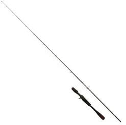 Shimano 20 Zodias 168 L BFS Casting 203cm 4-12g
